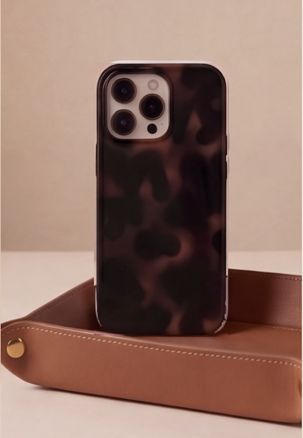 Tortoise Shell Case