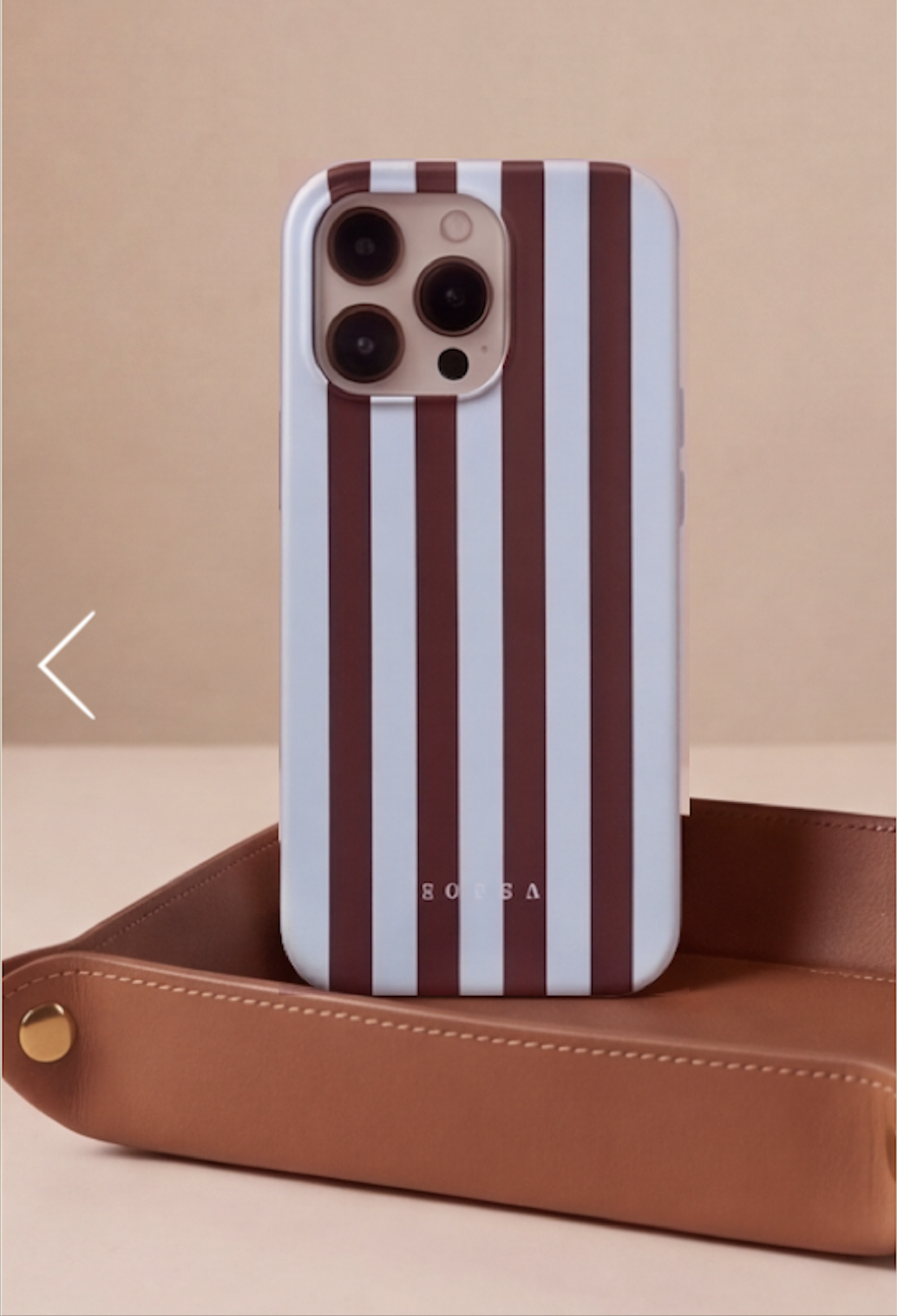 Borsa Stripe Case